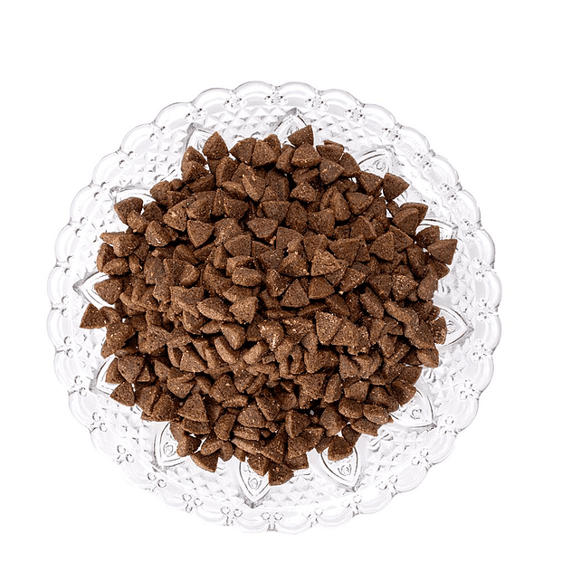 Pienso Natural de Pescado para Gatos Retorn 3