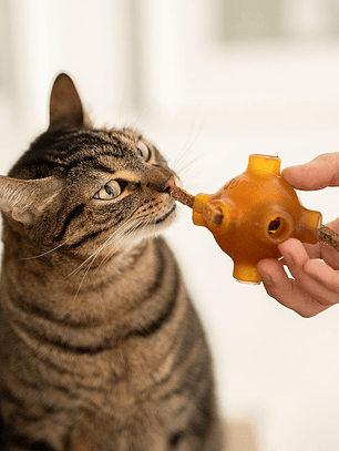 Retorn Rub Pollo Dental Stick para Gatos SMALL 1x1