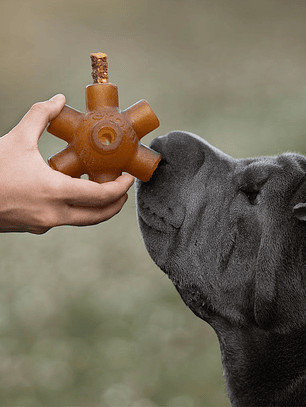 Retorn Rub Salmon Dental Stick para Perro REGULAR 2x2