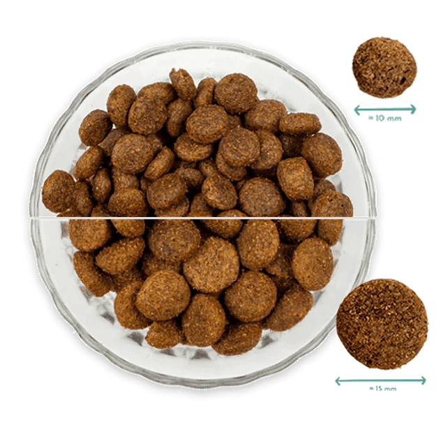 Pienso Natural para Perros de Salmón 6