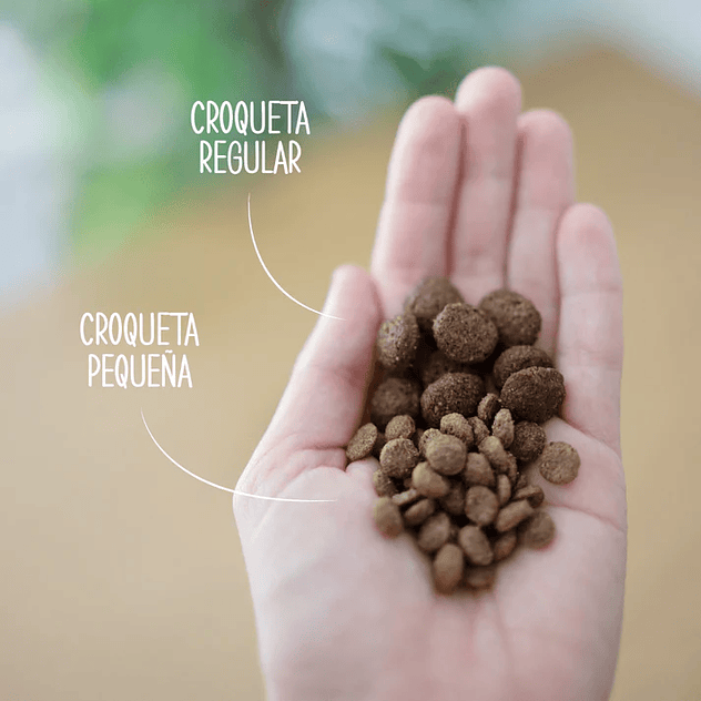 Pienso Natural para Perros de Pollo 4