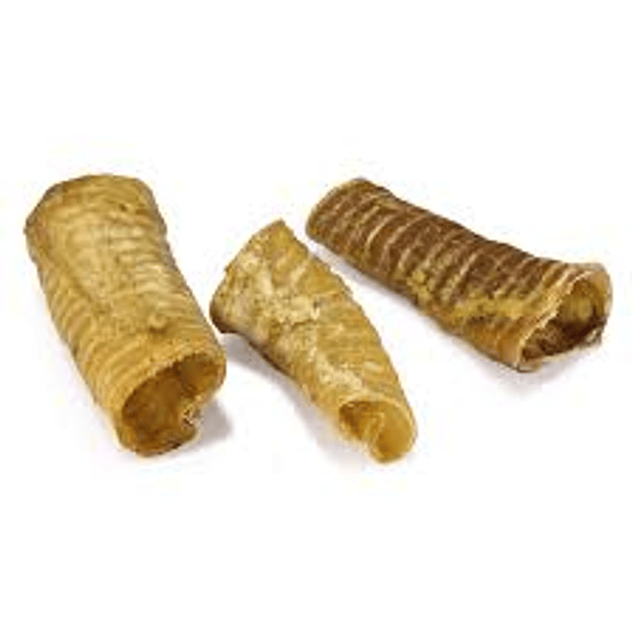 Tráquea de ternera Arquivet 1