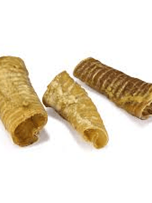 Tráquea de ternera Arquivet