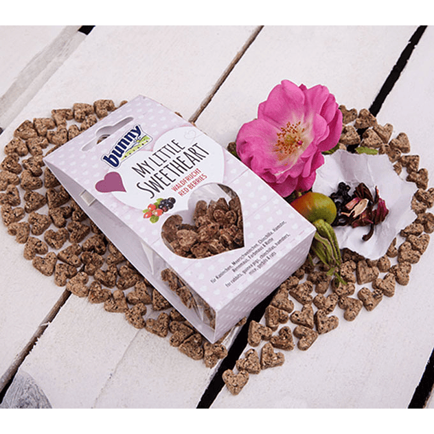 Bunny Snacks My Little Sweetheart de Frutos Rojos para Roedores 2