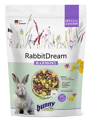 Bunny Dream - Conejo Harmony