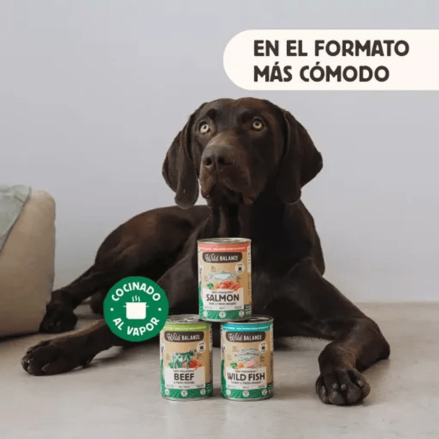 Wild Balance Menú Completo de Salmón y Ternera para Perros 3