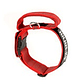 Collar julius k9 color gray con asa 40mm rojo gris - Miniatura 2