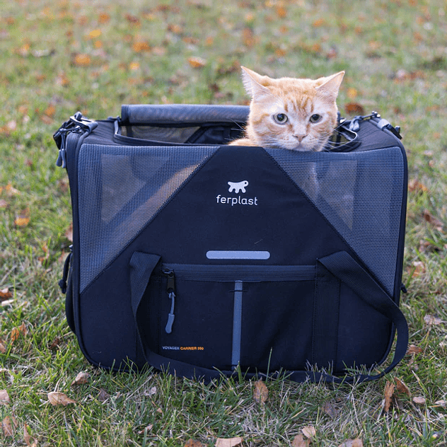 Voyager carrier 350 3