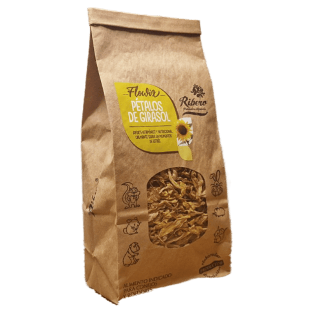 Pétalos de Girasol 1