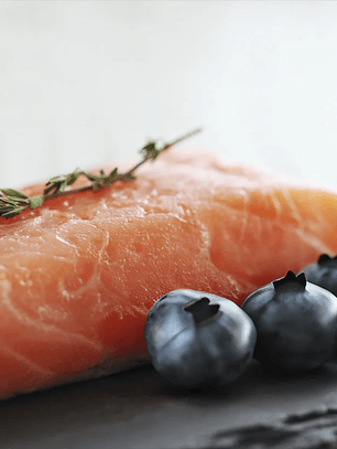 Orygo Paté de Salmón Con Arándanos para Perros