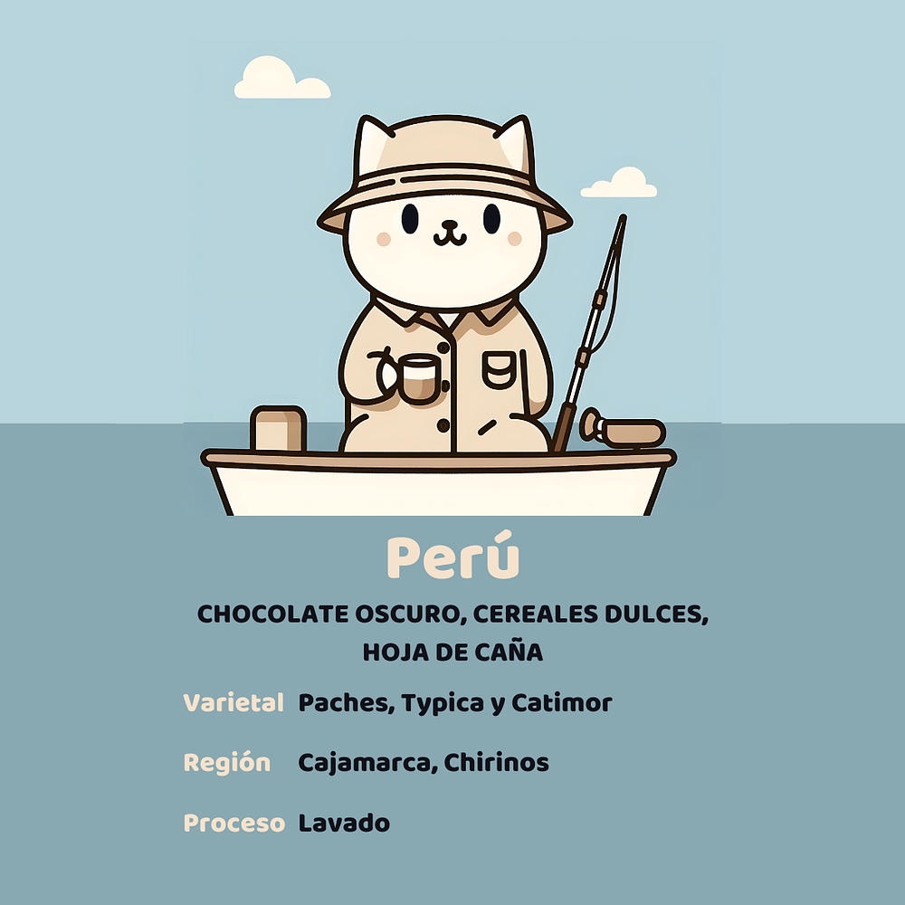 Gato Pescador - Perú Cajamarca 