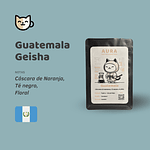 Gato Samurai - Guatemala Geisha 