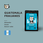 Gato CyberPunk - Guatemala Fraijanes