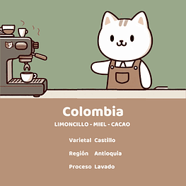 Gato Barista - Colombia La Gabriela