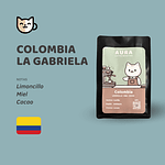 Gato Barista - Colombia La Gabriela