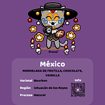 Gata Catrina - México Ixhuacán de los Reyes