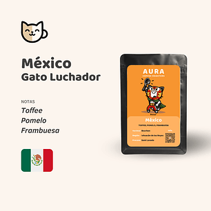 Gato Luchador - México Ixhuacán de los Reyes