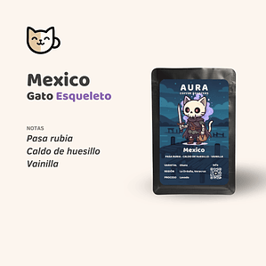 Gato Esqueleto - Mexico lavado Obata