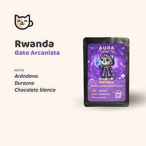 Café - Gato Arcanista