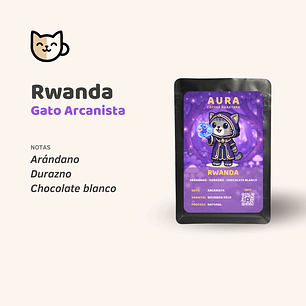 Café - Gato Arcanista