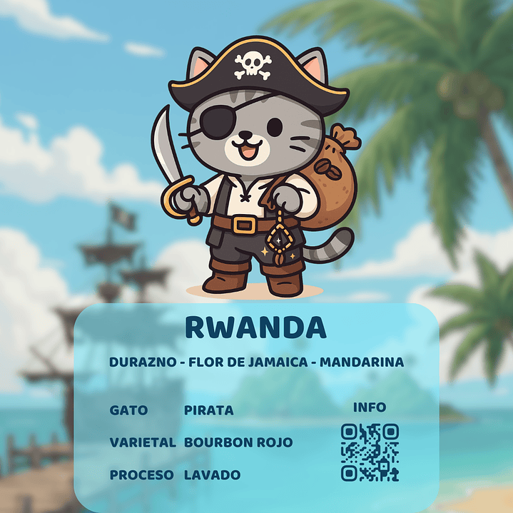 Café - Gato Pirata 3