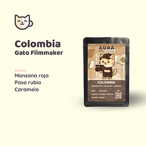 Café - Gato Filmmaker