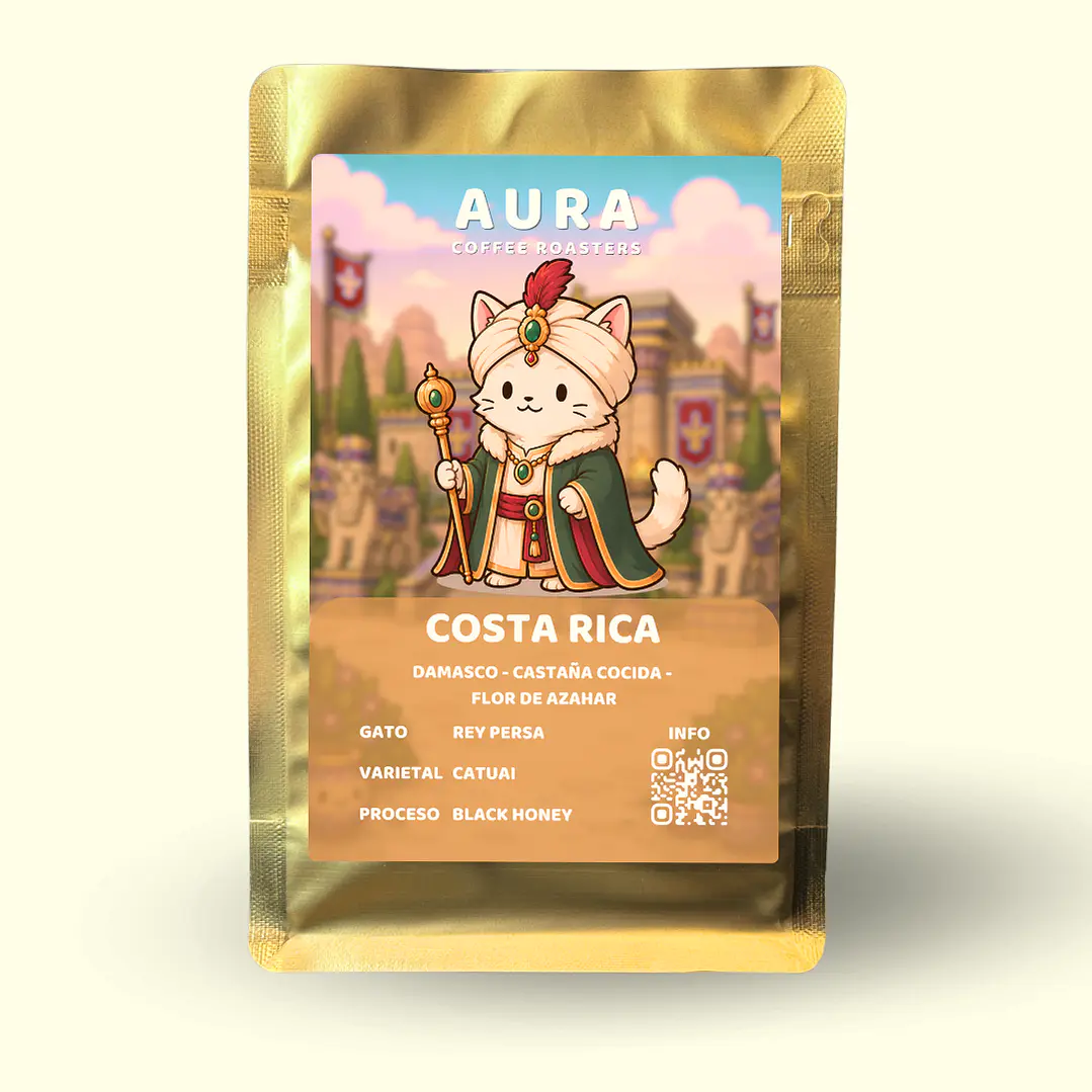 Café - Gato Rey Persa 1