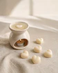 WAXMELTS PARA HORNITOS. - Miniatura 2