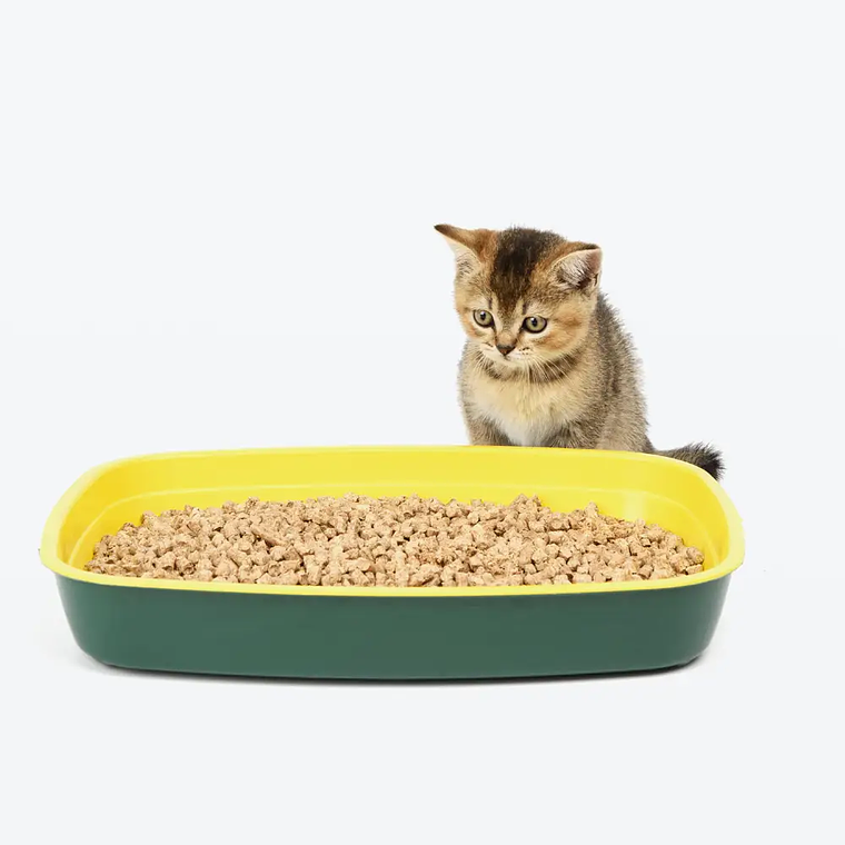 Demo - Litter (gato) 2