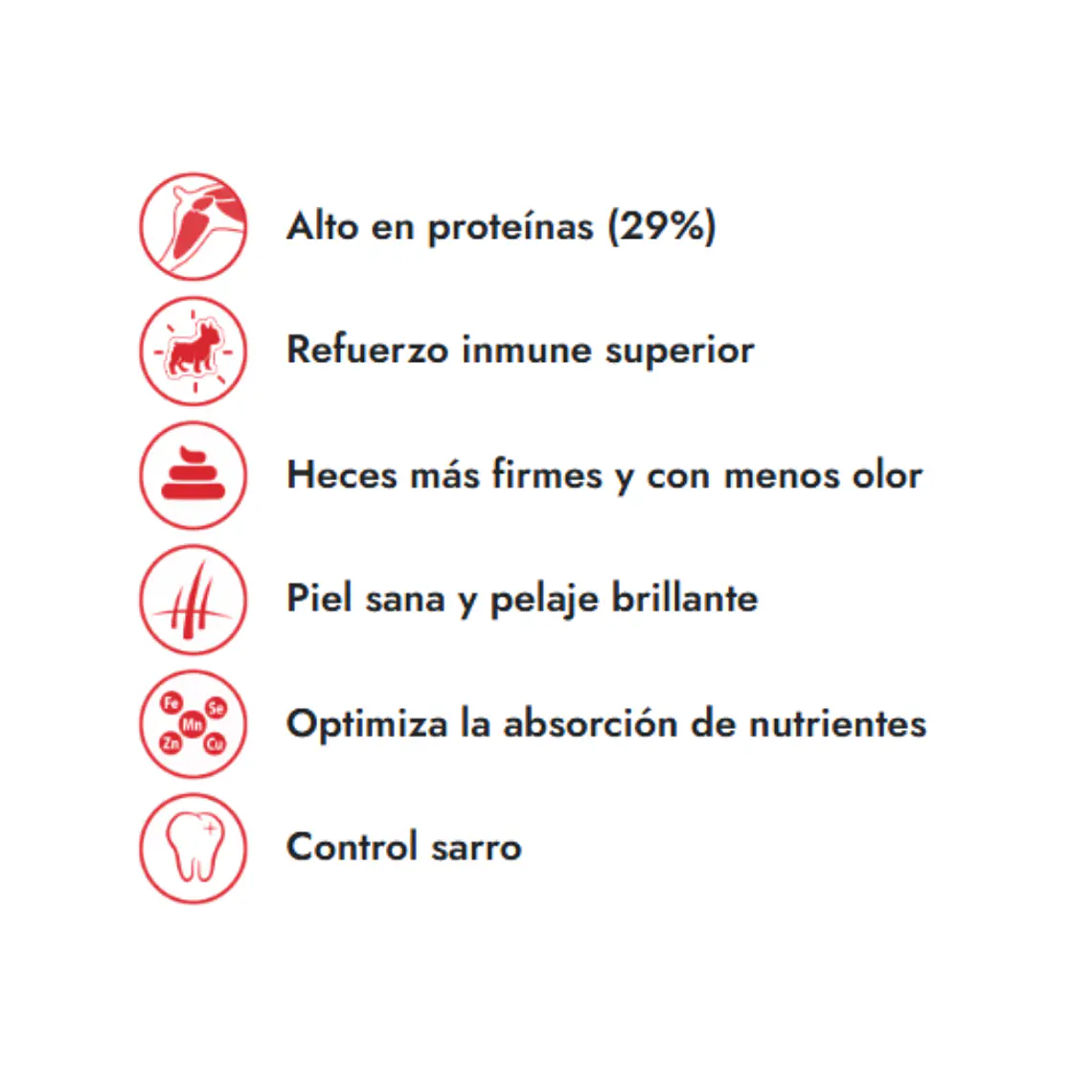 Alimento Fit Formula Perro Cachorro - 10kg 2