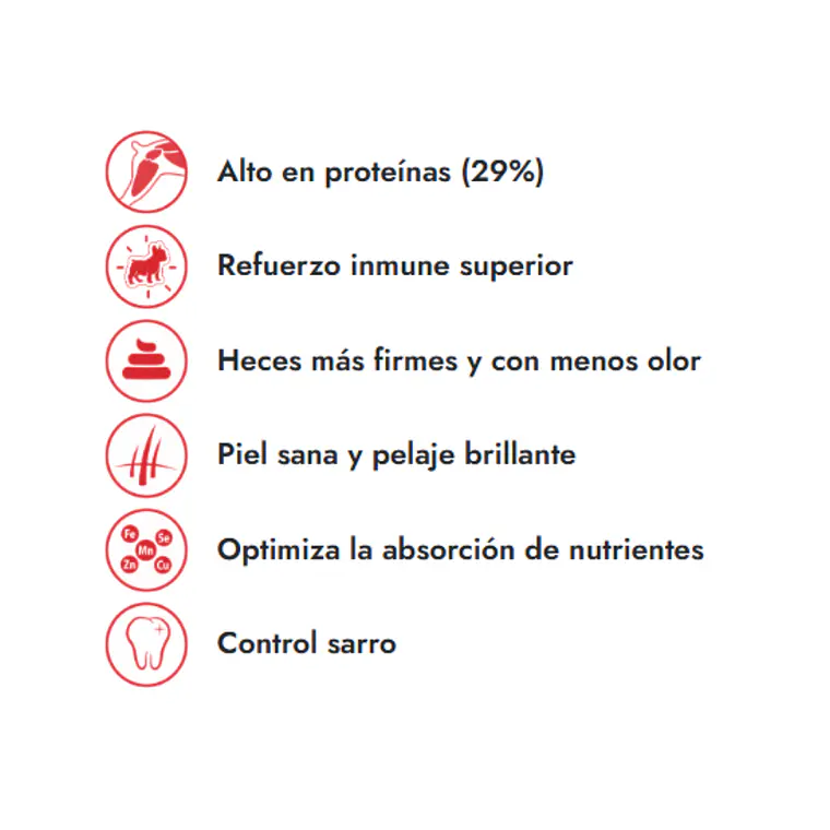 Alimento Fit Formula Perro Cachorro - 10kg 2