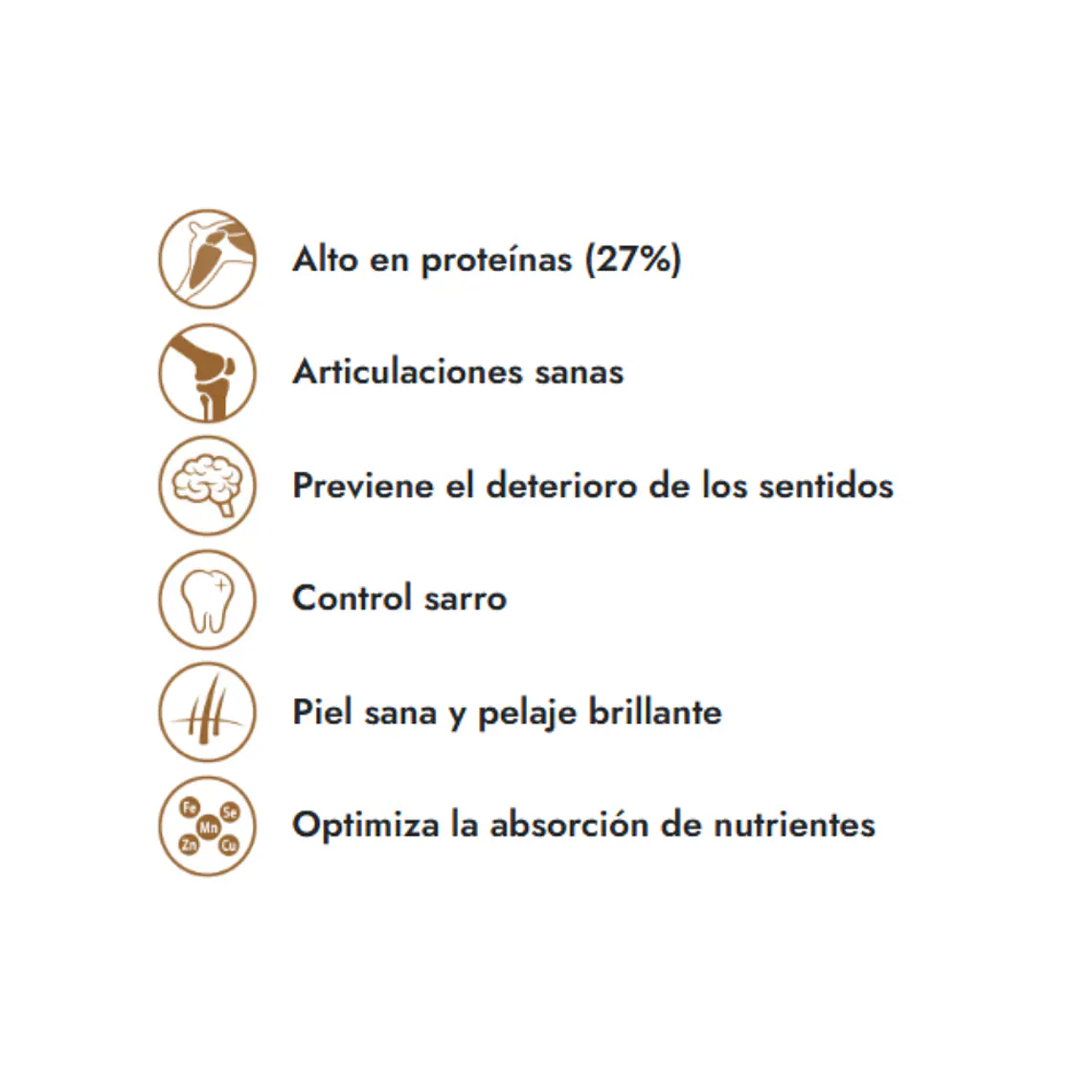 Alimento Fit Formula Perro Senior Raza Pequeña - 10kg 2