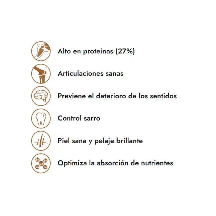 Alimento Fit Formula Perro Senior Raza Pequeña - 10kg 2