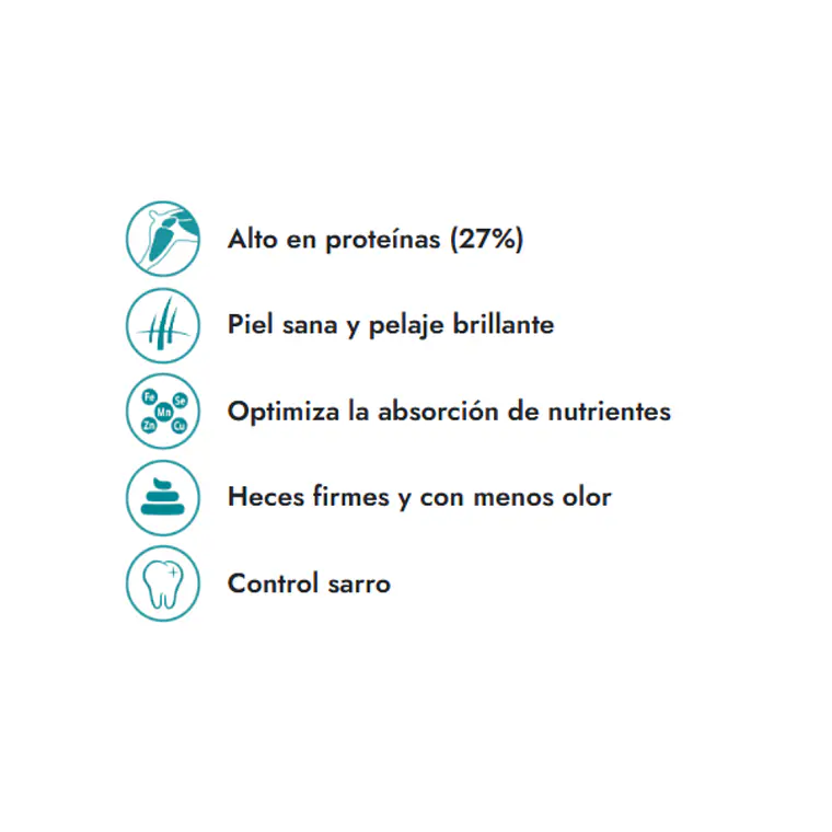 Alimento Fit Formula Perro Adulto Raza Pequeña - 10kg 2