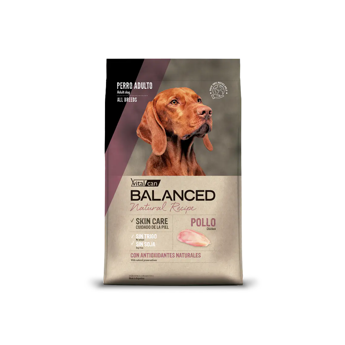 Alimento Balanced Natural Recipe Perro Adulto Sabor Pollo - 15kg 1