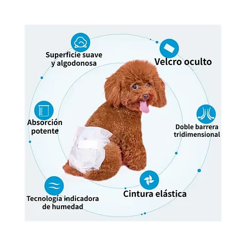 Pañal Desechable Buen Amigo Para Hembras Talla M - 10u