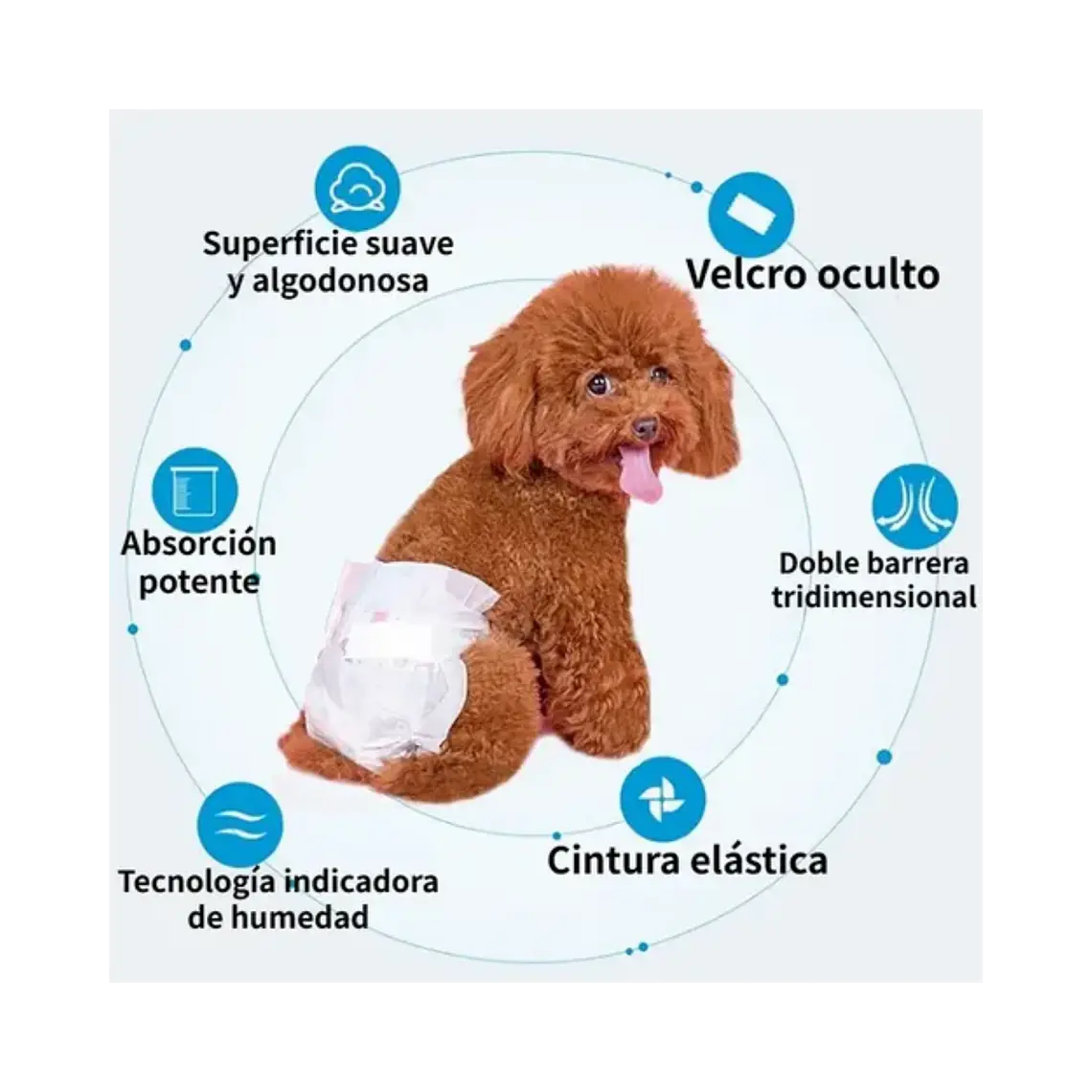Pañal Desechable Buen Amigo Para Hembras Talla M - 10u 2