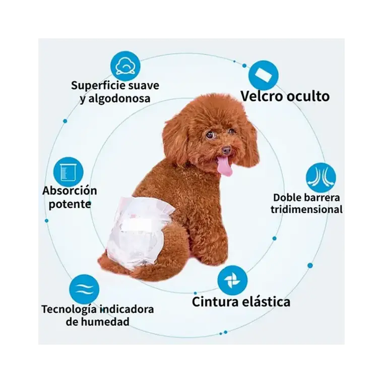 Pañal Desechable Buen Amigo Para Hembras Talla M - 10u 2