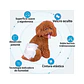 Pañal Desechable Buen Amigo Para Hembras Talla M - 10u - Miniatura 2