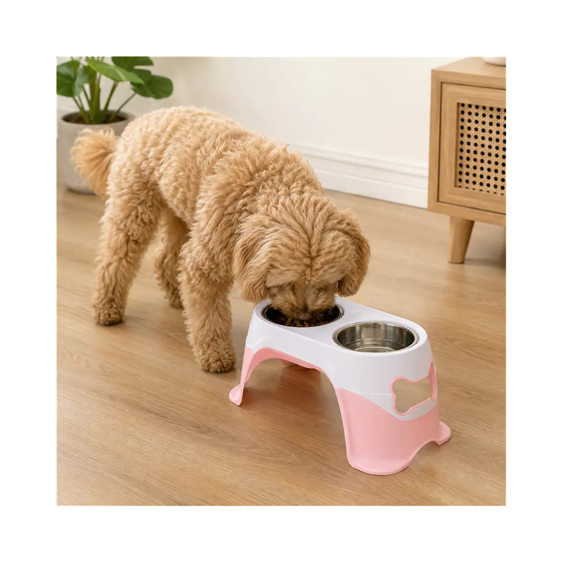 Comedero Doble en Altura Grande con Plato Acero Inoxidable - Rosado XDB-005R 3