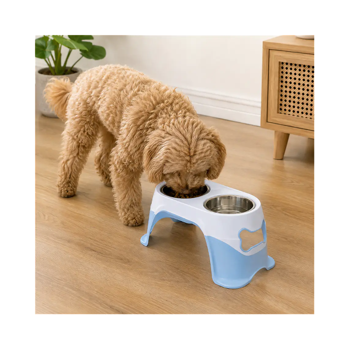 Comedero Doble en Altura Grande con Plato Acero Inoxidable - Azul XDB-005A 3