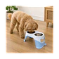 Comedero Doble en Altura Grande con Plato Acero Inoxidable - Azul XDB-005A - Miniatura 3