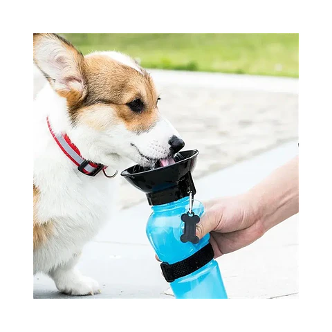 Botella De Agua Portátil Para Mascotas 500ml Paseo - CX-3