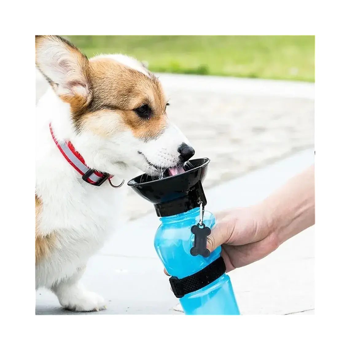 Botella De Agua Portátil Para Mascotas 500ml Paseo - CX-3 2