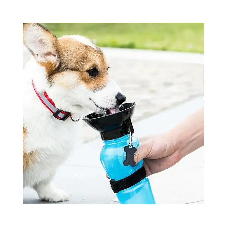 Botella De Agua Portátil Para Mascotas 500ml Paseo - CX-3 2