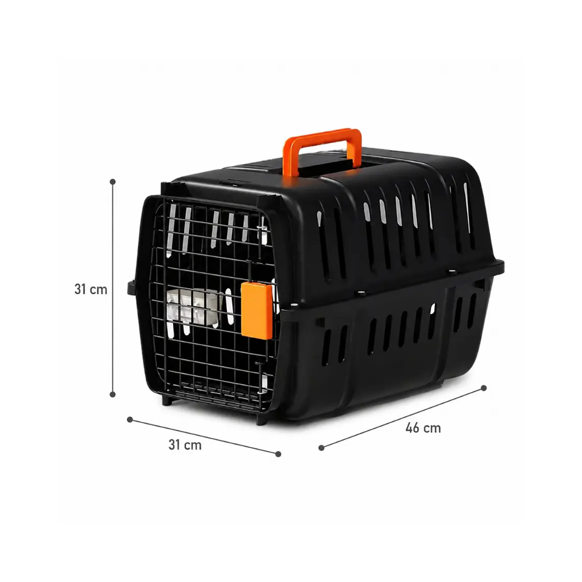 Transportadora Plastica Negra Pequeña - LH-1 2