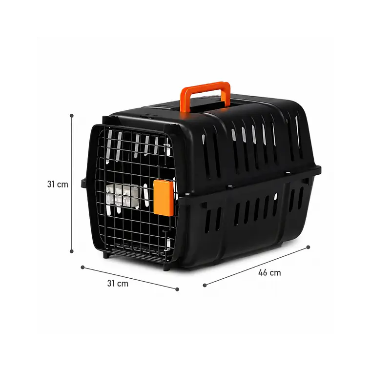 Transportadora Plastica Negra Pequeña - LH-1 2