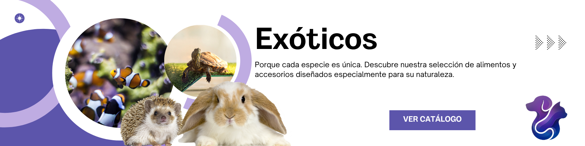 Exóticos