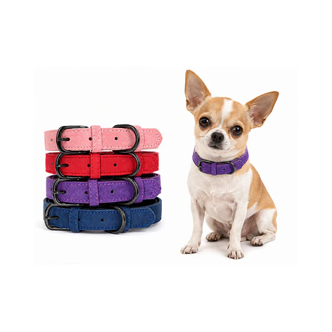 Collar para Perros Eco Cuero Talla S 38cm - KX4128