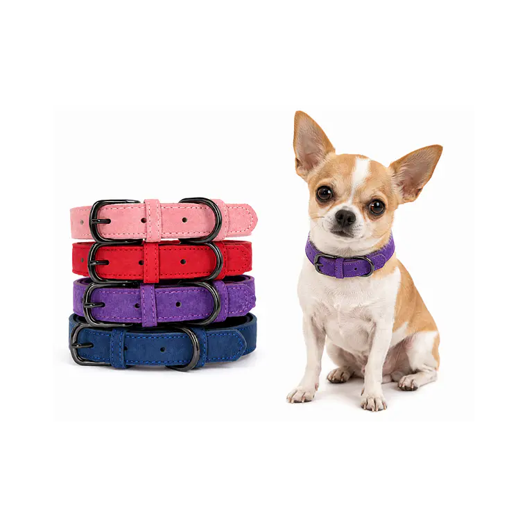 Collar para Perros Eco Cuero Talla S 38cm - KX4128 1